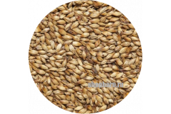 Солод ячменный карамельный Caramel EBC 100 (Viking Malt)  1 кг